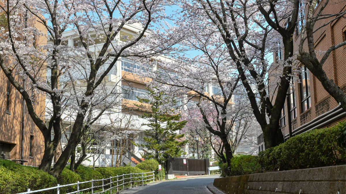 桜美林高校 外観